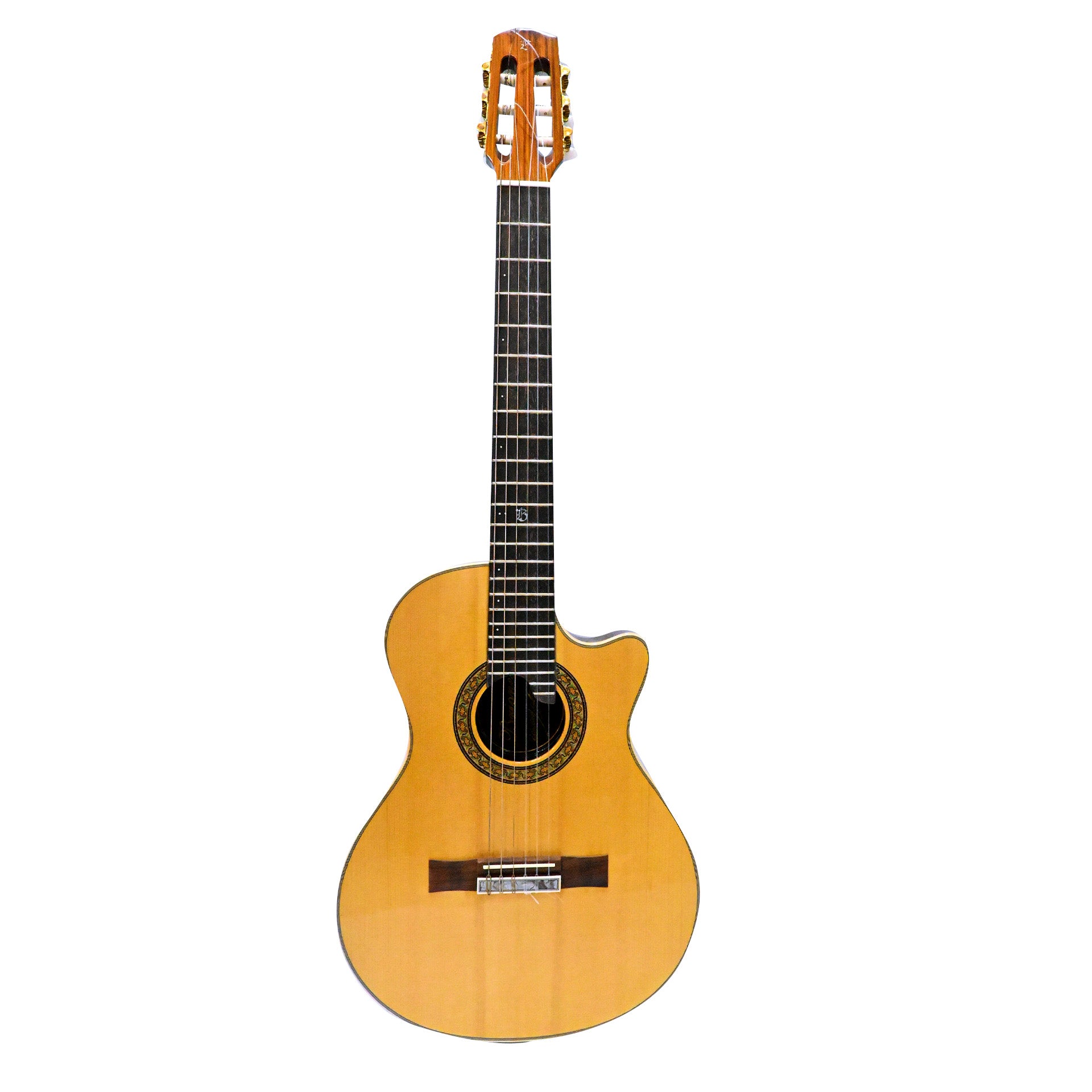 Guitarra Solida Profesional