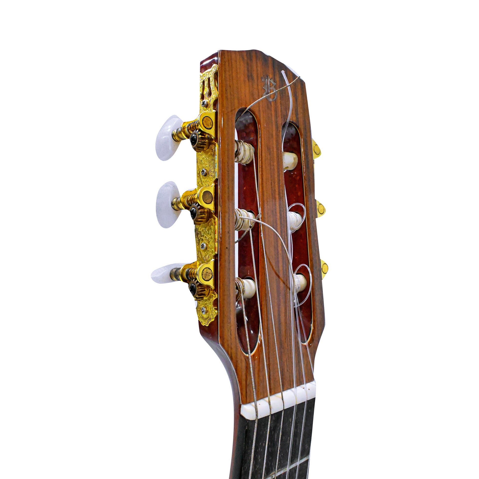 Guitarra Solida Profesional