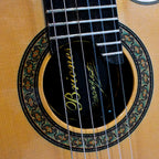 Guitarra Solida Profesional