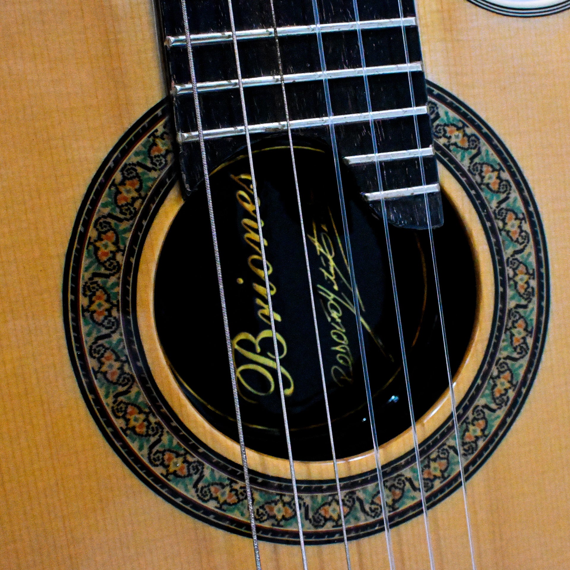 Guitarra Solida Profesional