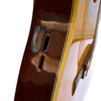 Guitarra Solida Profesional