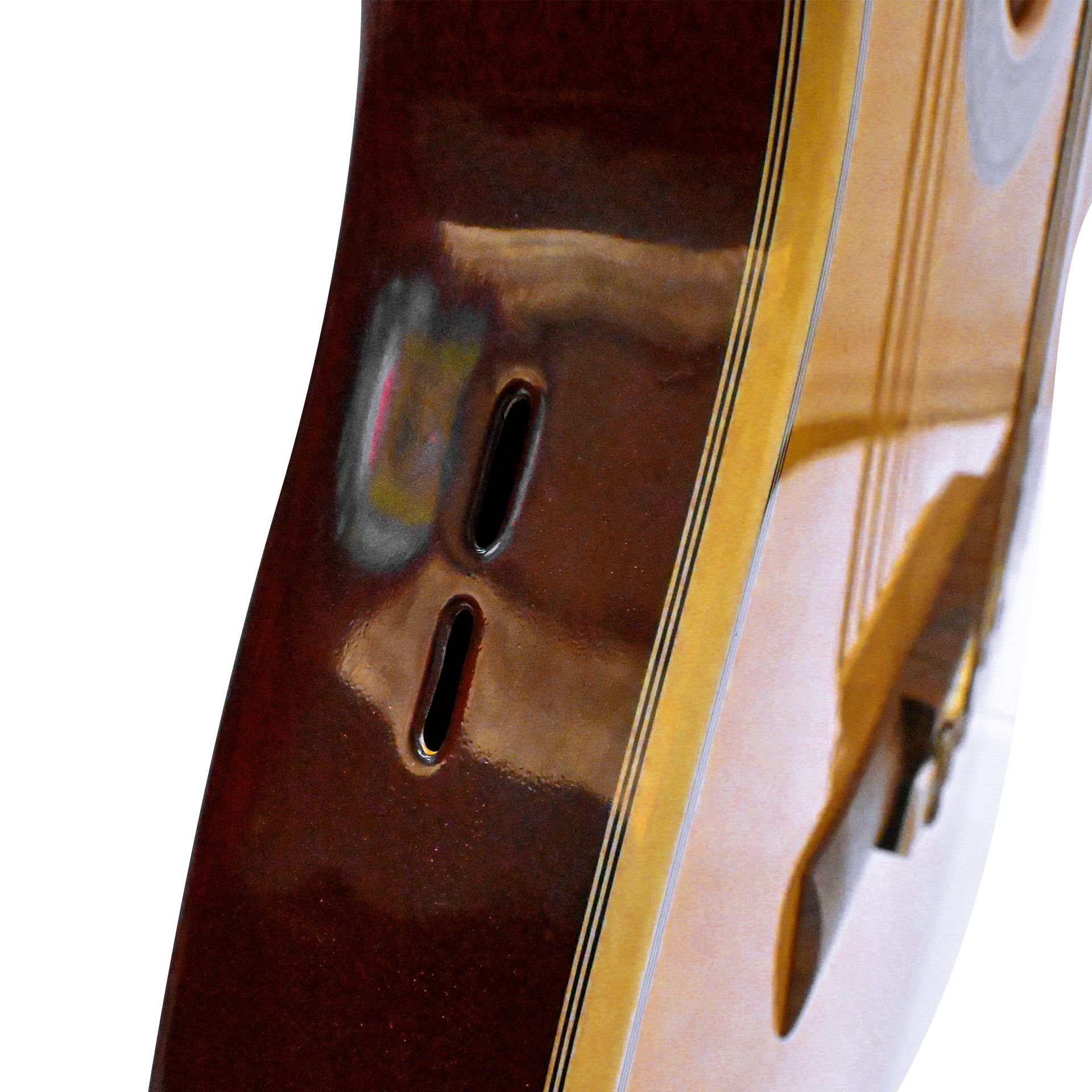 Guitarra Solida Profesional