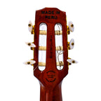 Guitarra Solida Profesional