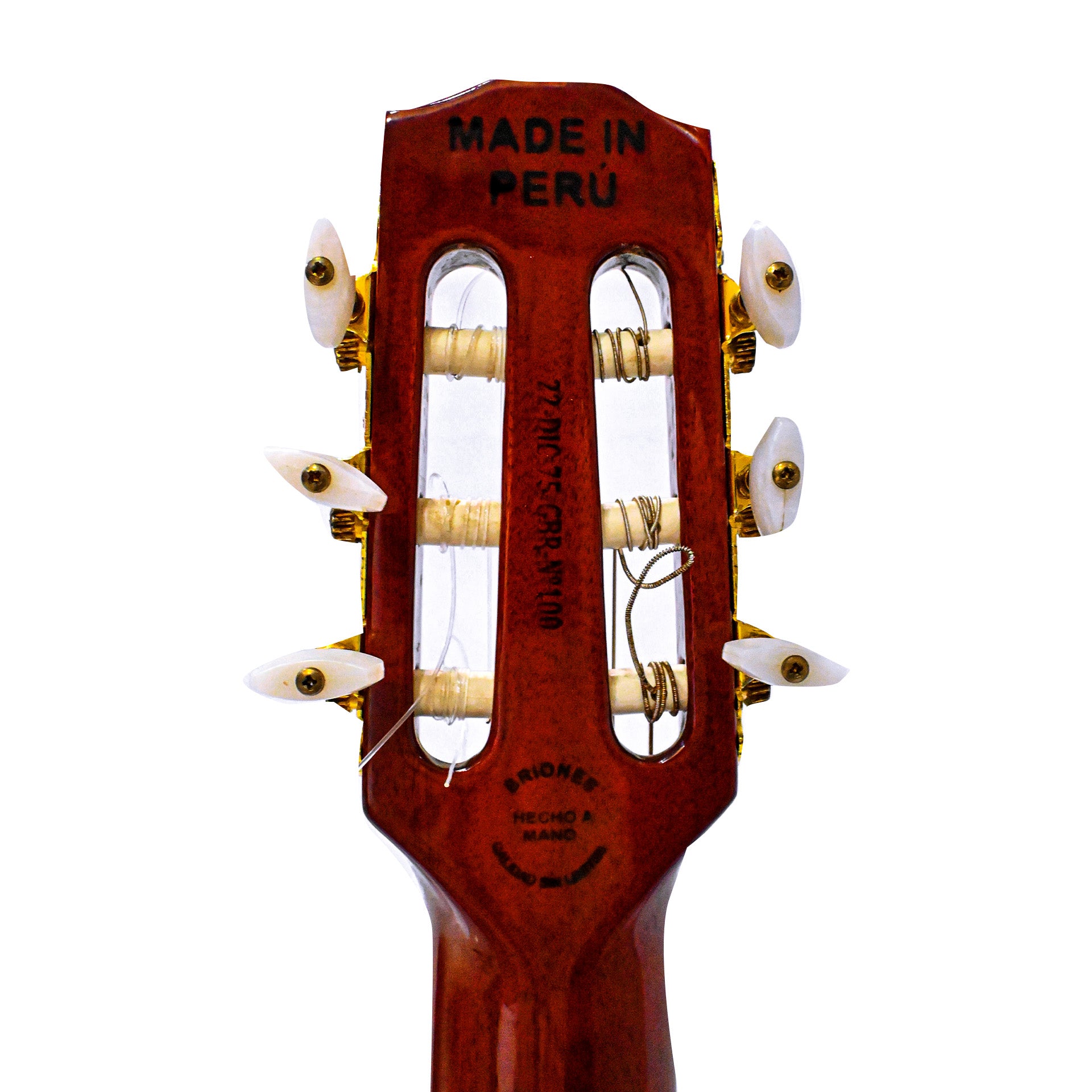 Guitarra Solida Profesional