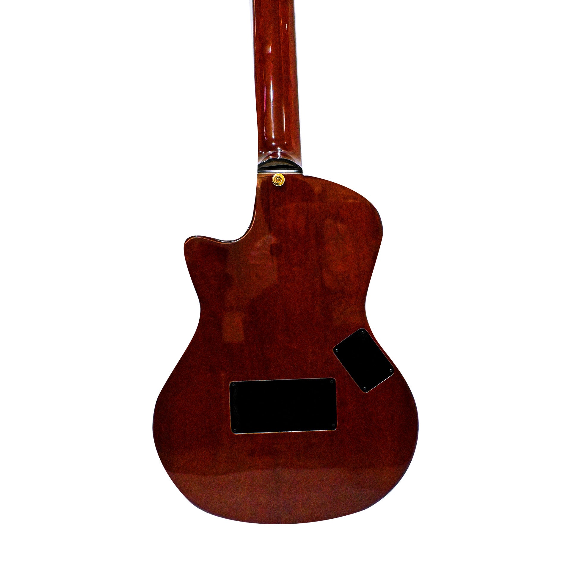 Guitarra Solida Profesional