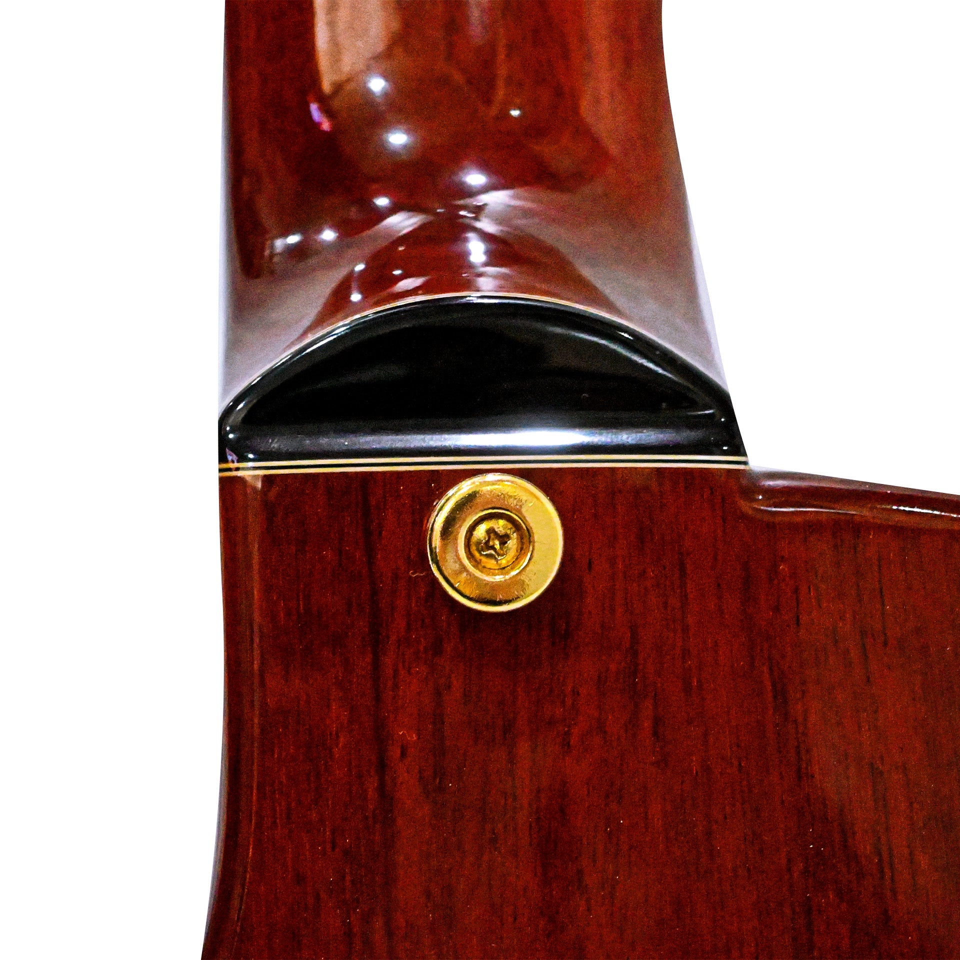 Guitarra Solida Profesional