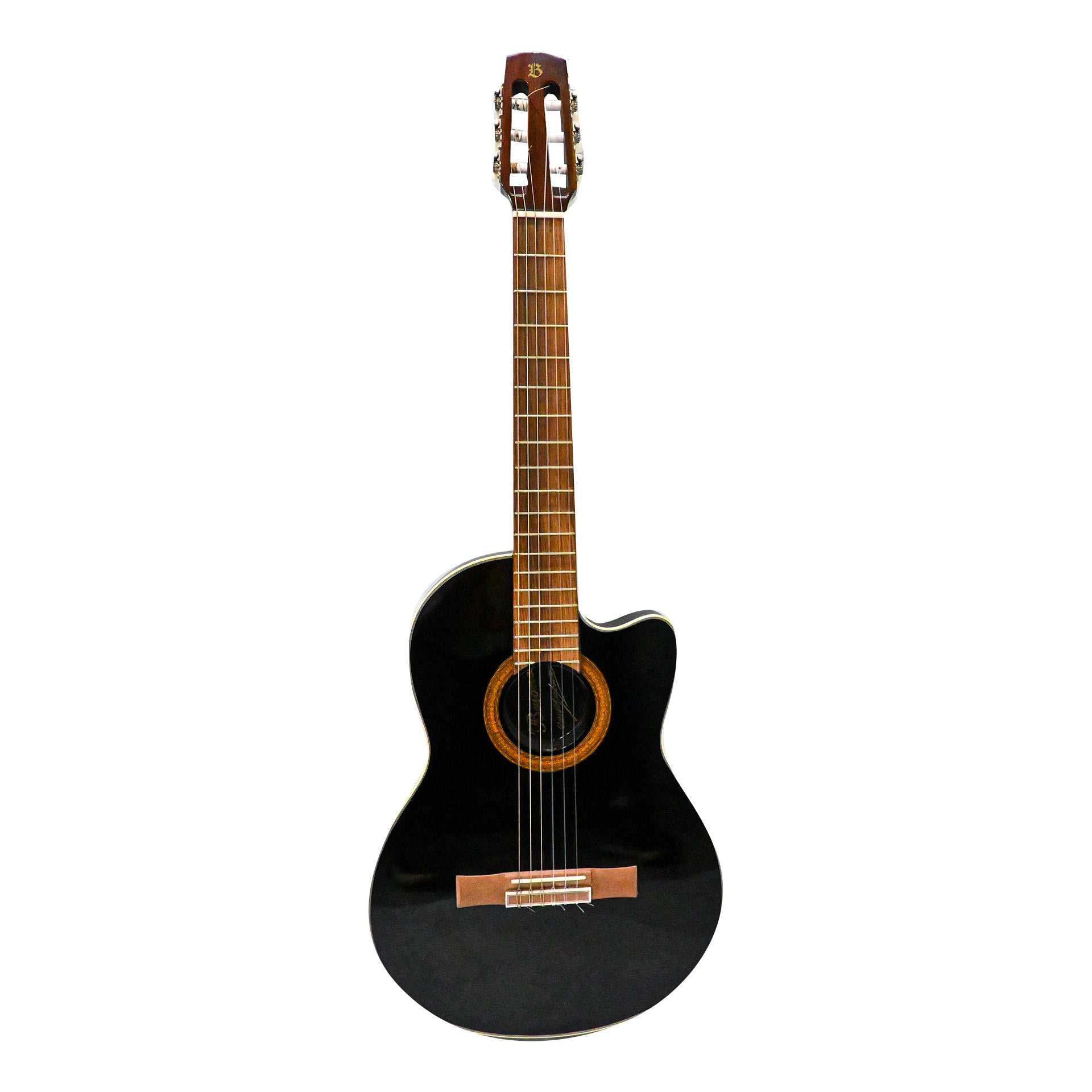 Guitarra Solida Profesional Negra