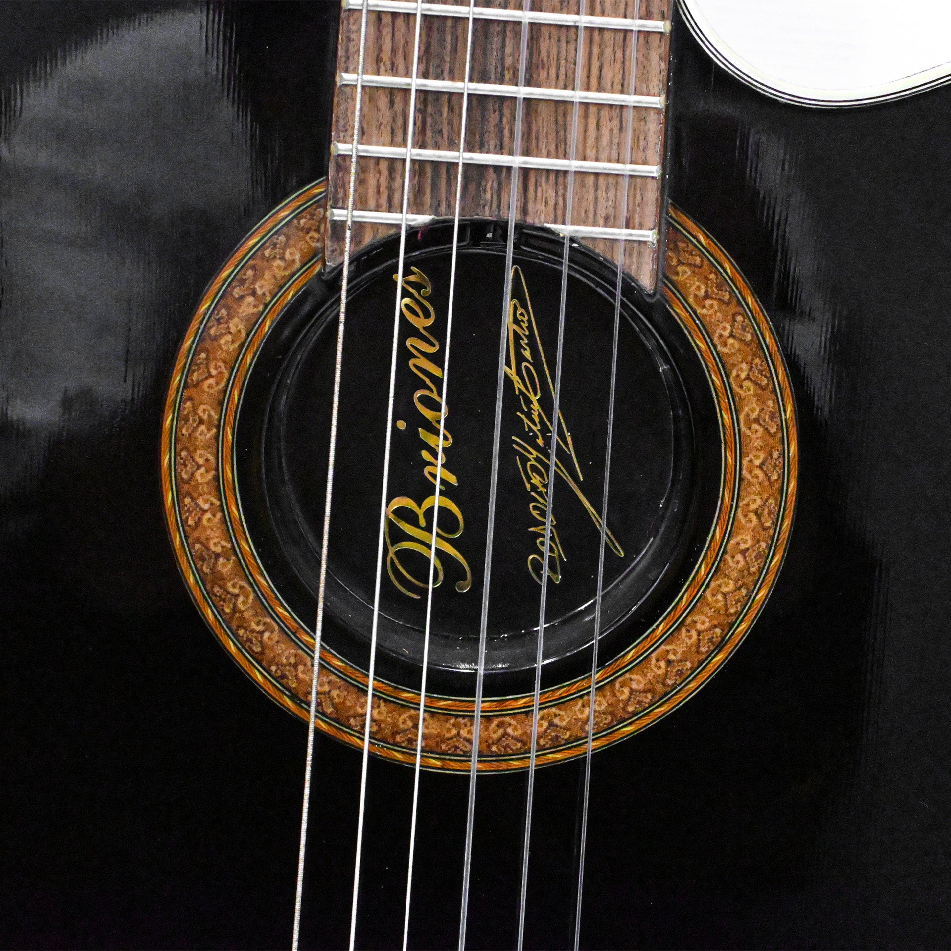 Guitarra Solida Profesional Negra