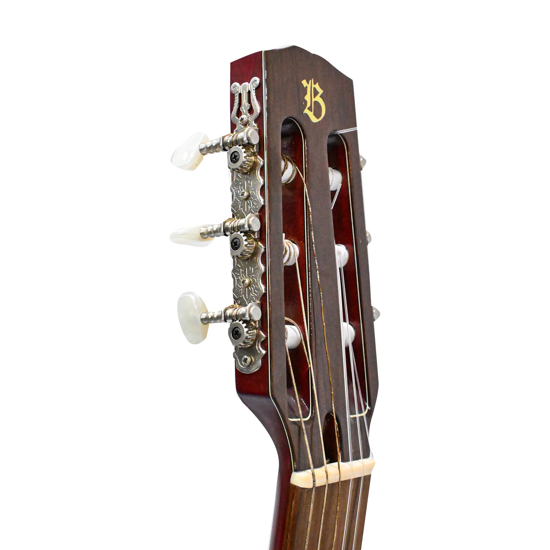 Guitarra Solida Tapado Caoba