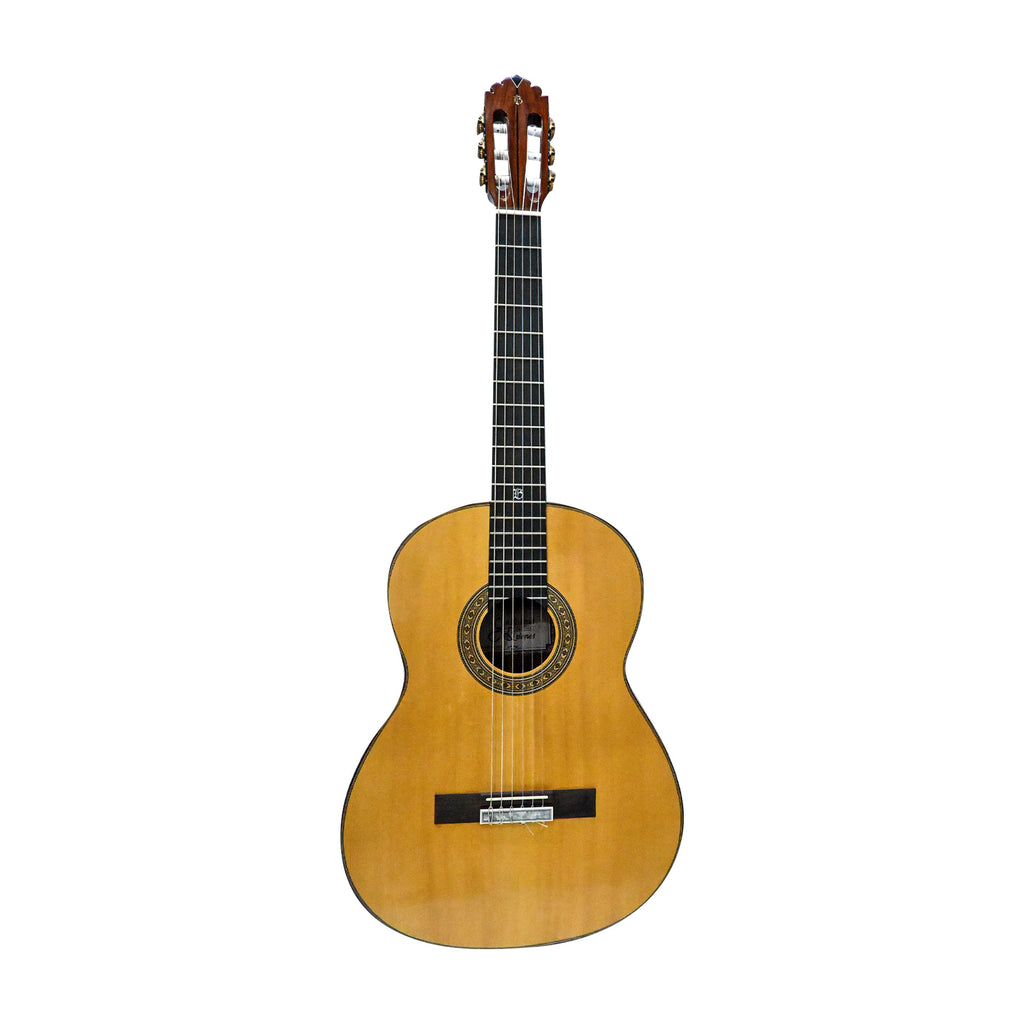 Guitarra Clasica Profesional