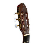 Guitarra Clasica Profesional