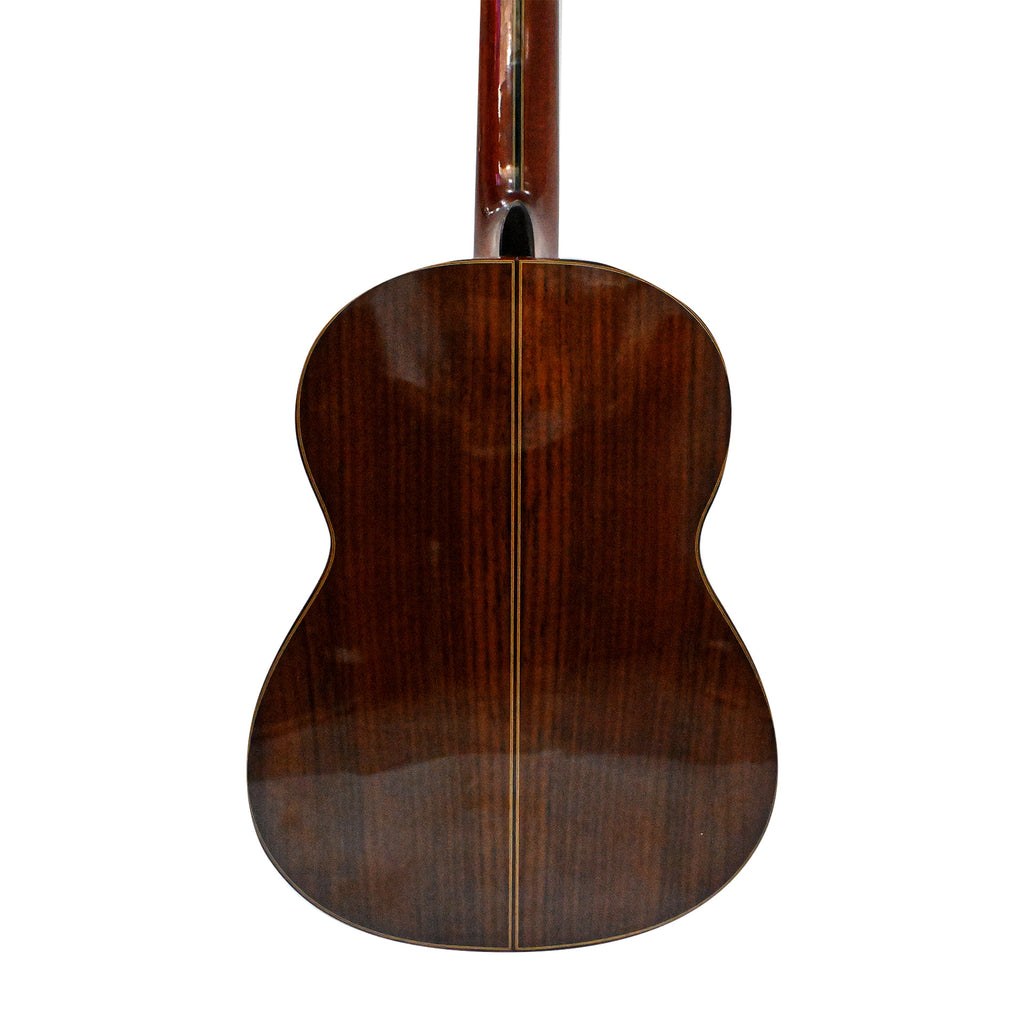 Guitarra Clasica Profesional